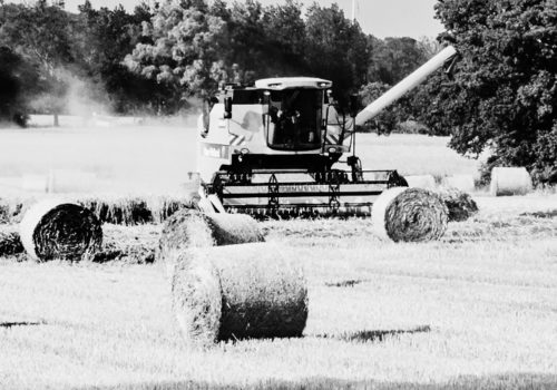 hay-brokoop-slider-new